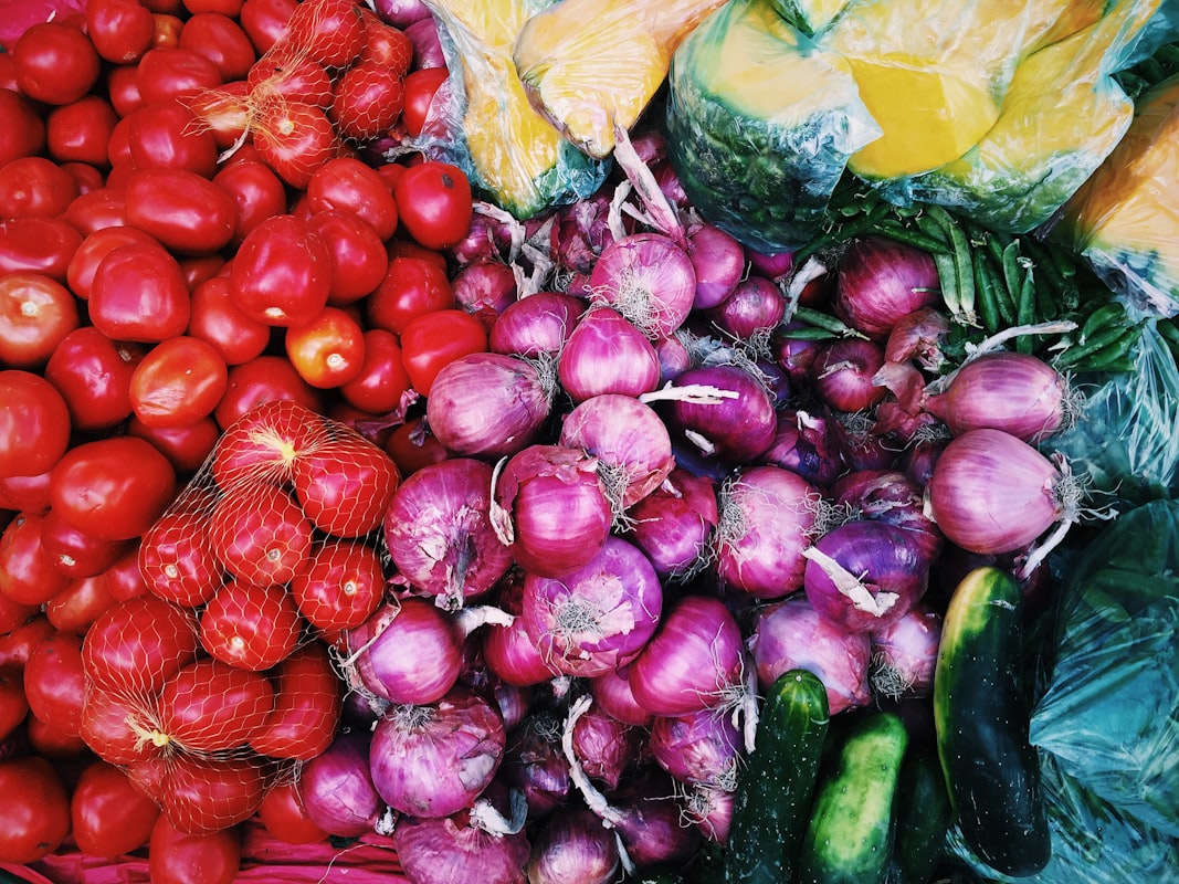 Productos fermentados probióticos